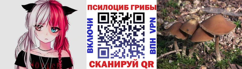 Галлюциногенные грибы MAGIC MUSHROOMS  Купить где  Радужный 
